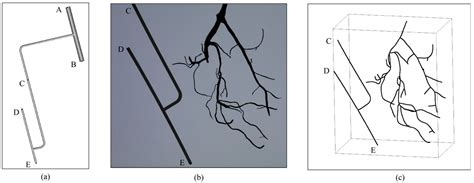 A Skeleton-Based Method of Root System 3D Reconstruction and Phenotypic ...