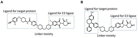 Oral Absorption of Middle-to-Large Molecules and Its Improvement, with ...