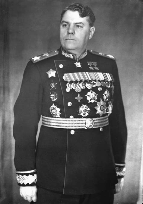 Парадный портрет маршала Советского Союза А.М. Василевского — военное фото