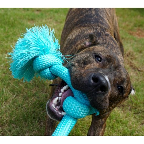 Playology Dri-Tech Rope Polyester Chew Dog Toy 33543 at Lowes.com
