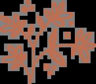 Marriage Catering Services in Chennai | Mylapore | Alwarpet | Teynampet