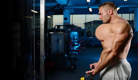 Image result for Muscle Morph Bodybuilder deviantART