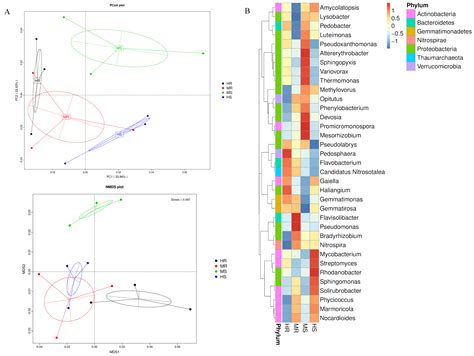 Comparative Metagenomic Analysis Reveals Rhizosphere Microbiome ...