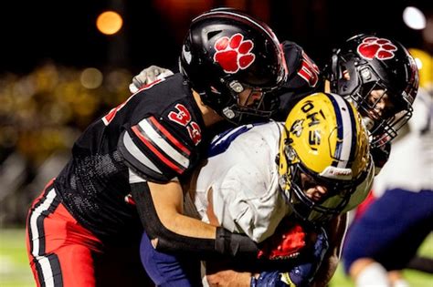 Image result for MLive-Flint