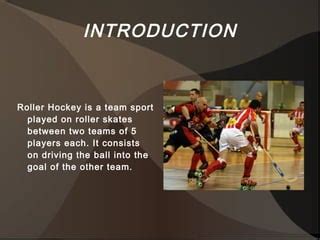 Types of Hockey 的图像结果