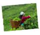 Amber Holidays, Aurangabad - Tours & Travels