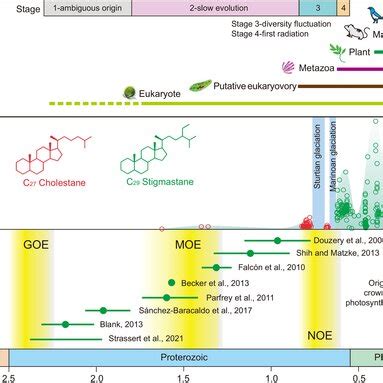 Evolution Timeline Chart 的图像结果