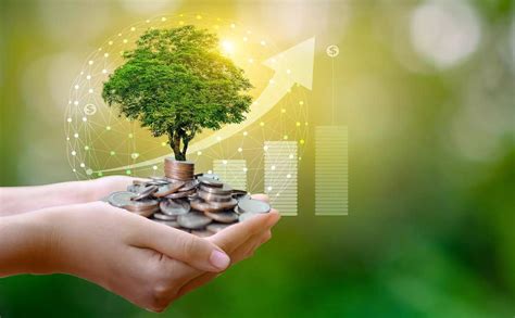 Financial Planning: आर्थिंक नियोजनाच्या 4 पायऱ्या