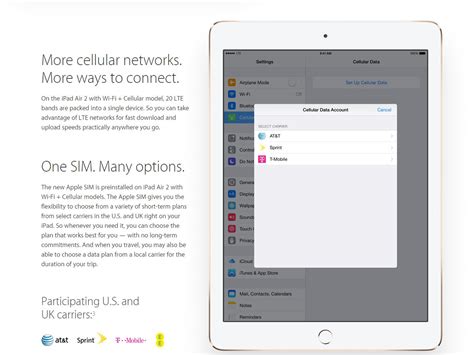 Image result for iPad Sim Card Package
