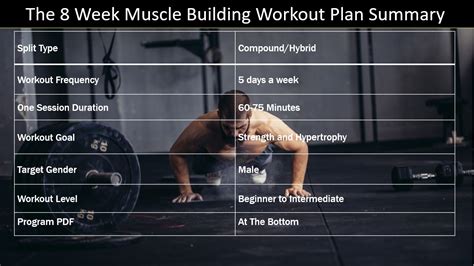 Image result for Muscle Building Workout Plan