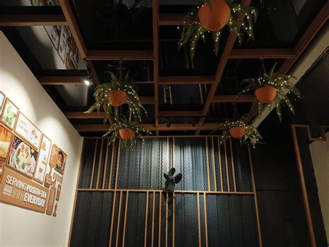 Tecno Pova 5 Pro review: Cool style quotient unlocked - IBTimes India