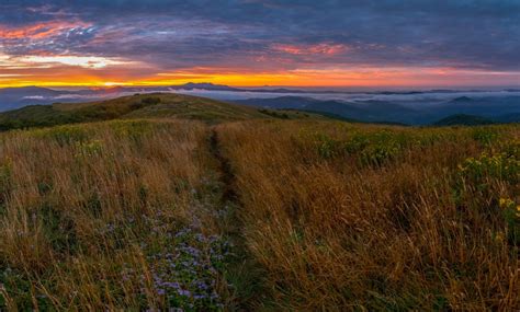 Image result for First Bank Checking Account