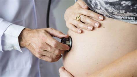 Neurosonografía Fetal – Mlife