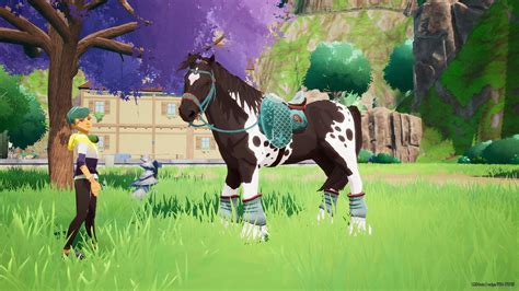 An Exclusive First Look at the Irish Cob in Horse Tales: Emerald Valley ...