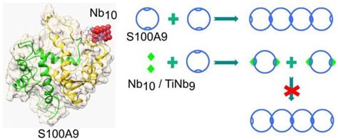 BioChem | An Open Access Journal from MDPI