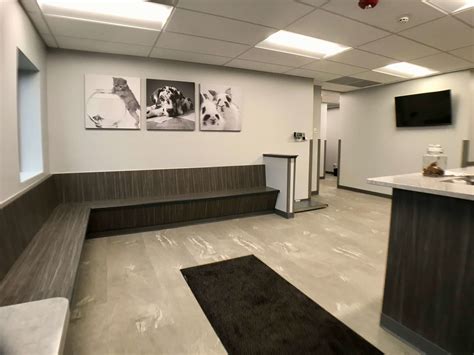 10+ Ace Animal Hospital On Irving Park Article