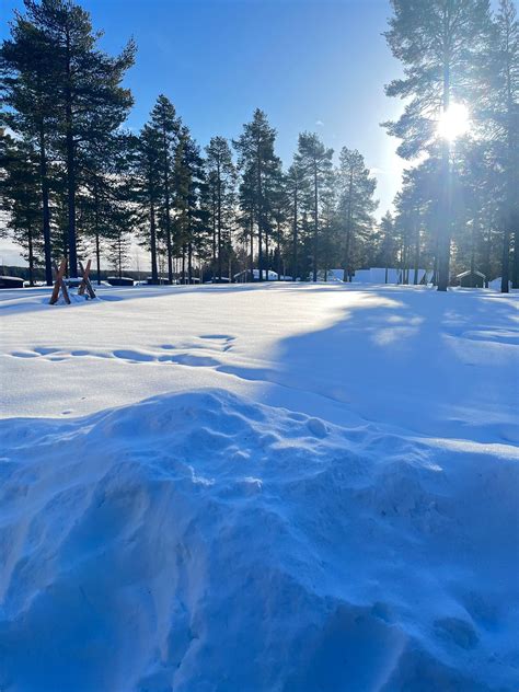 ARCTIC FOX IGLOOS (Ranua) - Hotel Reviews, Photos, Rate Comparison ...