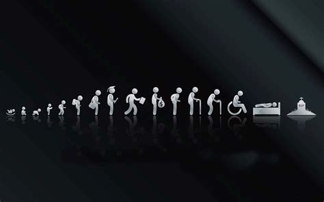 Individual Evolution 的图像结果