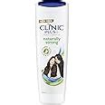 Clinic Plus Naturally Strong Health Shampoo with Herbal Extracts| 355 ...