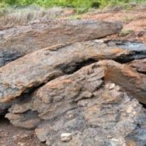 Alloyesale.com/oreauction.com