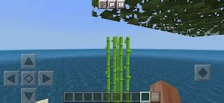 Image result for Minecraft Max Build Isla