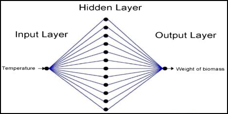 Image result for Building Ann Model On MATLAB for Pyrolysis Kinetics
