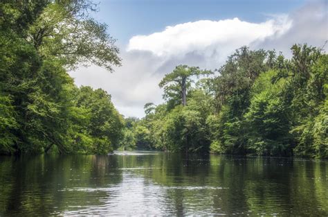 The Santa Fe River | Florida Paddle Notes