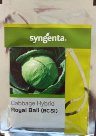 Syngenta Cabbage Royal Ball BC 51