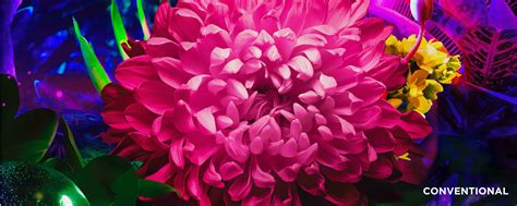 TCL C715 Series - 4K QLED Android TV - TCL India