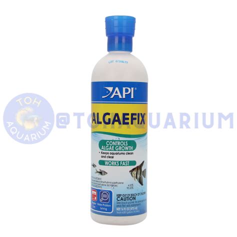 Image result for How to Use API AlgaeFix