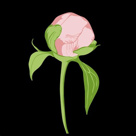 Corpse flower Images - Free Download on Freepik