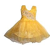 Buy Paras Pooja Garments Baby Girl's casual Doll Frock Dress (k babu, 9 ...