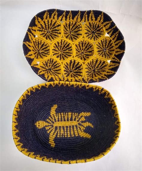 Tortoise Bottom Shell Fell Off 的图像结果