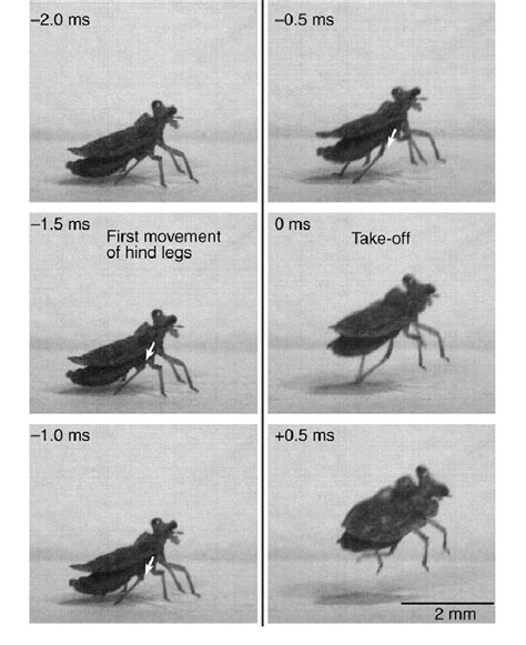 Jump Left and Right 的图像结果