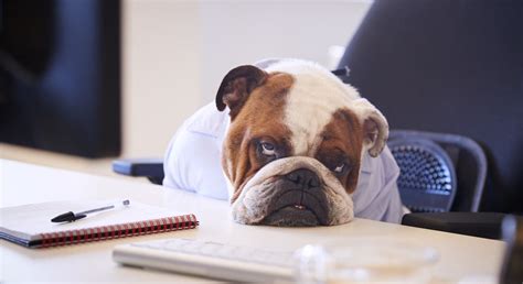 Image result for Boring