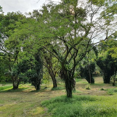 ALEXANDRA CANAL LINEAR PARK (2024) All You Need to Know BEFORE You Go ...