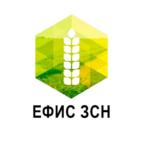 Кто и как должен работать в системе ЕФИС ЗСН