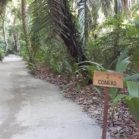 ISLA PALENQUE RESORT (Boca Chica) - Hotel Reviews, Photos, Rate ...