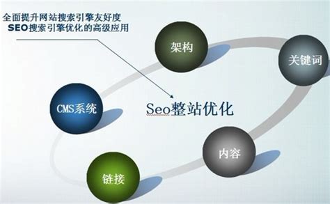 上海网站排名seo公司有哪些 - 哔哩哔哩