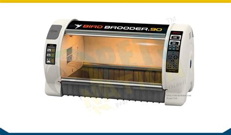 Brooders and ICU Units | We are into Exotic Birds | Pets | Reptiles ...