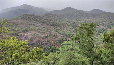 Chinnar Wildlife Sanctuary In Kerala Guide Of 2026