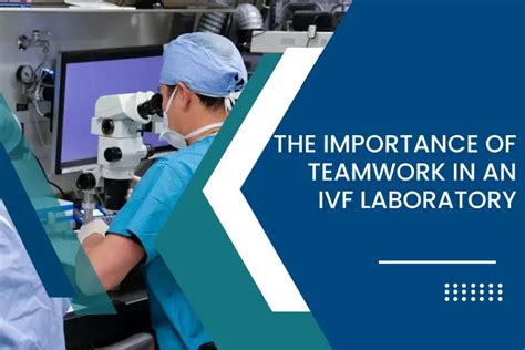 Why Teamwork Matters in an IVF Lab