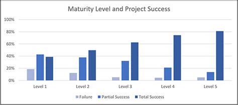 Image result for Project Maturity