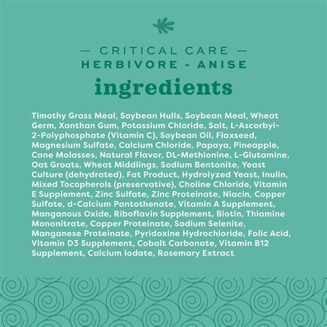 Buy Oxbow Critical Care Anise Herbivore Dry Food for Rabbits and Guinea ...