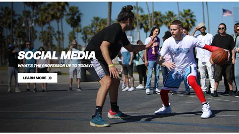 Professor Live Tutorials 的图像结果