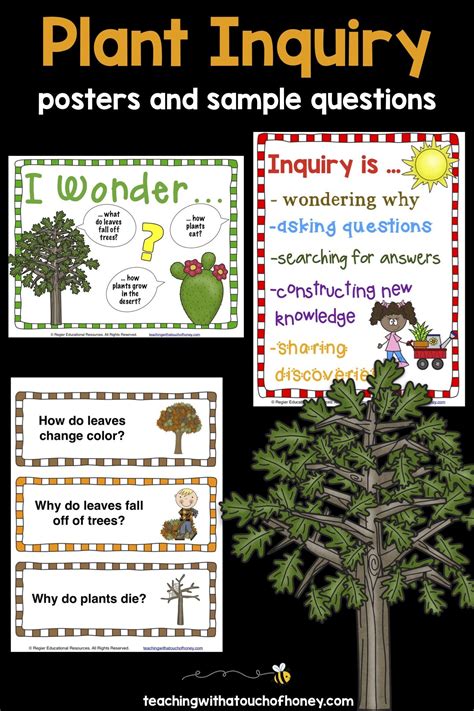 Plants Inquiry Based Learning | Inquiry Project | Inquiry based ...