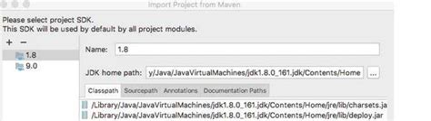 InteliJ 2019 Java Project Configure 的图像结果