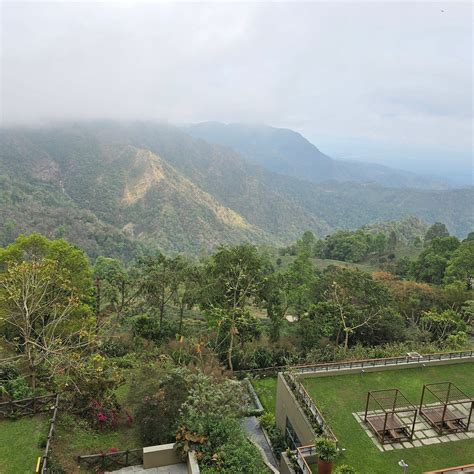 TAJ CHIA KUTIR RESORT & SPA DARJEELING (Makai Bari Tea Garden) - Hotel ...