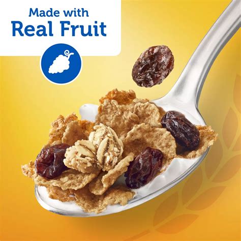 Kellogg's Raisin Bran Crunch Original Cold Breakfast Cereal - Family ...