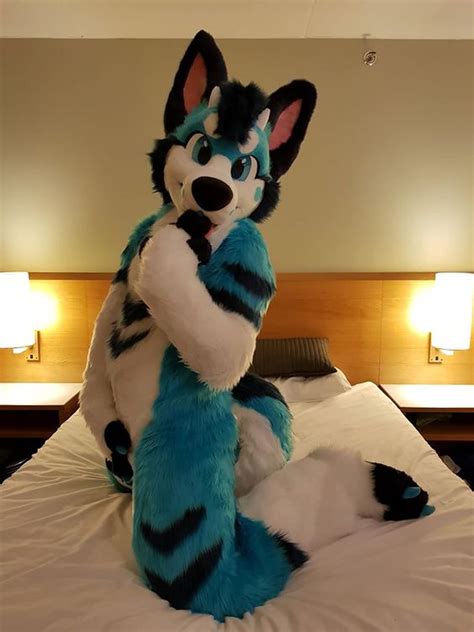 Sky Blue Furry Husky Dog Fursuit Disfraz - Tallas Chile | Ubuy